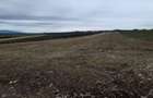 7,8 hectare de teren agricol in comuna Beuca din judetul Teleorman - 1
