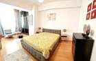 Apartament cu 2 camere semidecomandat în Herăstrău - 3