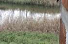 Casa Iesire Lac La 45km de Bucuresti la Prunaru! - 1