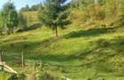 Teren în Măguri - 6