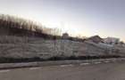 TEREN INTRAVILAN//COM. PLOPU//1300//2700 MP - 2