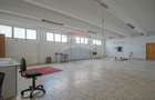Spațiu comercial, de 2,491 mp, în Bartolomeu - 9