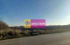 Teren intravilan de 8800 mp, în Săbăreni - 3