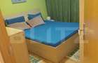 Apartament cu 3 camere decomandat în Lăpuș Argeș - 7