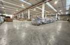 Hala pentru depozitare cu 2 rampe, Parcul Industrial Bors,Bihor - 2