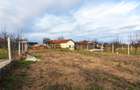 Teren Construcții intravilan de 1215 mp, în Borș - 6