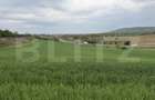 Teren intravilan, in localitatea Bobota in suprafata de 12.500 mp