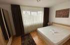 Apartament cu 2 camere semidecomandat, mobilat în Astra - 4