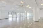 Spațiu comercial, de 430 mp, în Centrul Civic - 3