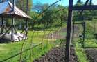 Casa cu etaj si anexe de vanzare - 1