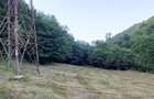 Casă cu 3 camere cu Teren 20000 Mp în Zlatna - 6
