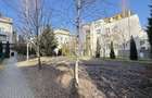 Apartament cu 3 camere decomandat în Avantgarden - 7
