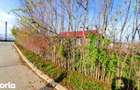 Casa cu teren generos in Mosneni oportunitate excelenta pentru locui - 2