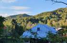 Puciosa Moreni Valea Lunga Sat Izvoru 20000mp teren de vanzare - 10