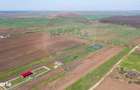 Vanzare teren intravilan 500 mp Sabareni / Strada Orhideelor - 14