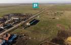 Hală industrială cu teren generos în Zărand, Arad - 24