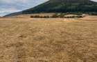 TEREN DE VANZARE Gura raului , zona marajdiei