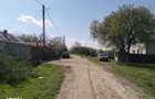 Vanzare teren Cosoveni - 5