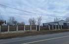 Teren Industrial/Comercial 1100mp, Deschidere 33ml la DN1A Crevedia (Platforma betonata, Utilitati) - 1