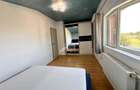 VEZI VIDEO! Vila cu 4 camere, 2 bai | P+M | Domnesti - Teghes - 12