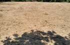 Inchiriez teren intravilan 1500 m