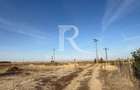 Teren intravilan agricol | 7029 mp | Satu Nou | Bihor