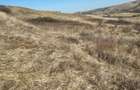 Oferta! Teren intravilan, 1253 mp, frt: 41 m, in Borhanci