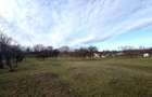 Teren intravilan Vălenii de Munte – 3.000 mp Ideal investiție sau locuinta - 7