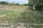 Teren intravilan 1171 mp, deschidere 29 ml, zona linistita - 1