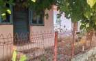 Casa + Teren 2.800 mp in Salcioara, Tulcea | 80 m Front Stradal | Utilitati - 3