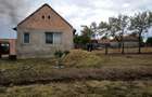 Casa de vanzare- Agrisu Mare - 1