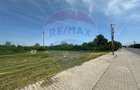Teren 545,000mp Dragomiresti-Vale