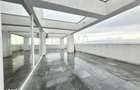 Penthouses de inchiriat, 200 mp. utili + 60mp. terasa - Mihai Viteazu - 14