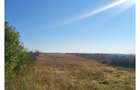 Teren extravilan 6.500 mp Raducesti, Topliceni | 4 km de Ramnicu Sarat