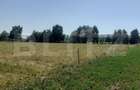Teren 26 ari, extravilan, langa padure, zona Partestii de Jos