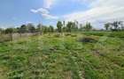 Teren intravilan 1500mp , zona Cionchesti - Cionchesti (Satu-Mare)