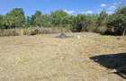 Casă cu Teren 2000 Mp în Tileagd - 4