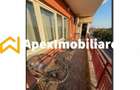 Apartament 2 camere de inchiriat Prelungirea Ghencea Bucuresti | ApexI - 5