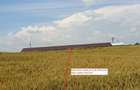 Teren intravilan, 5900mp, Acces din DN4, COMUNA CURCANI JUDETUL CALARASI - 5