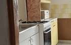 Dau in chirie apartament cu doua camere Nufarul I Oradea - 8