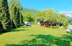 Proprietate de Vanzare in Calimane?ti Jiblea Noua Jud VL 320.000 E - 18