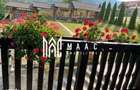 Vila 7 Camere | 256 MPU | 2000 MP Teren Terasat | Tocile - 9