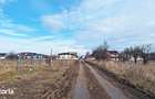 Teren intravilan pentru Investitie!,933mp in Ghimbav, 50 euro/mp neg. - 4