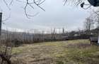 Casa 60mp + teren 3.300mp Sat Totoiesti
