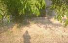 Vand teren intravilan in Ciocaia cu front stradal 39 m, - 2