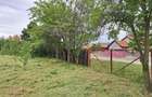 Vand teren intravilan 1796 mp, deschidere 30 m, utilitati complete - in orasul Piatra-Olt, jud Olt