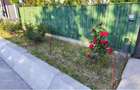 Teren de vanzare 1000 m2, intravilan ,la strada asfaltata cu casuta de vacanta, in Mihail Kogalniceanu , com. Smardan - 5