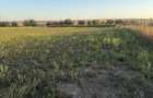 Teren de constructie, 4000mp, acces asfaltat - 15