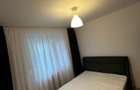 Apartament 2 camere Parc Plumbuita - 6