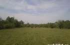 Teren deosebit zona Sebes de Brasov 11 EU - 9